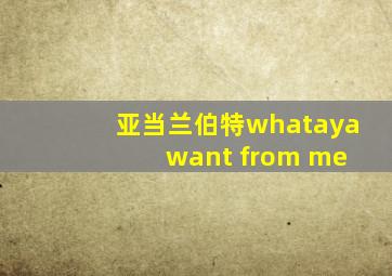 亚当兰伯特whataya want from me